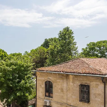 Aristocratic To The Sea Garden *